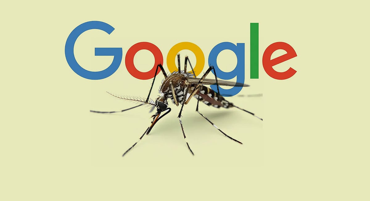 গুগল কেন ৬৪ মিলিয়ন মশা ছাড়ার পরিকল্পনা করছে