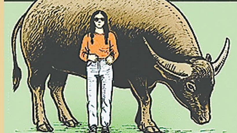 মহিষের নাম কিং কং