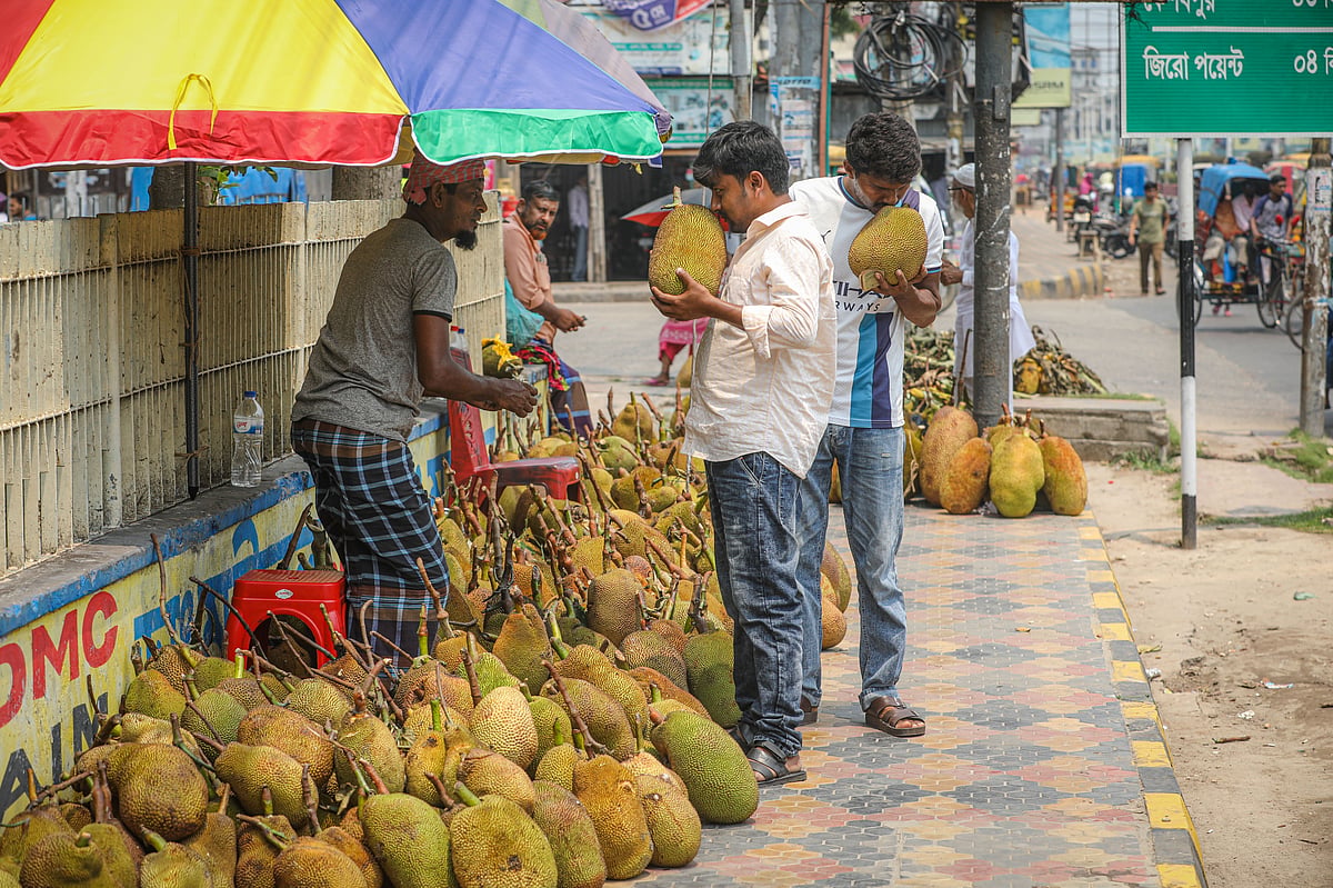 ছবি: সাদ্দাম হোসেন 