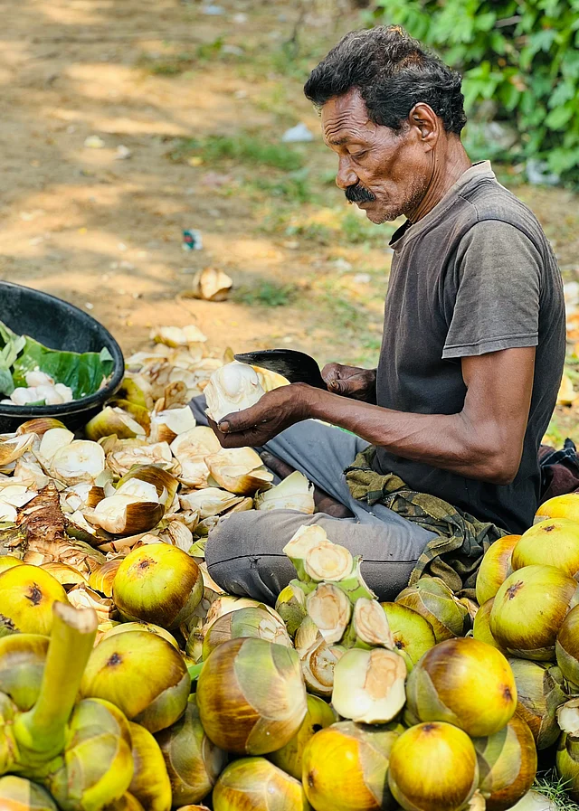 শরীর ঠান্ডা রাখে এই ফল 