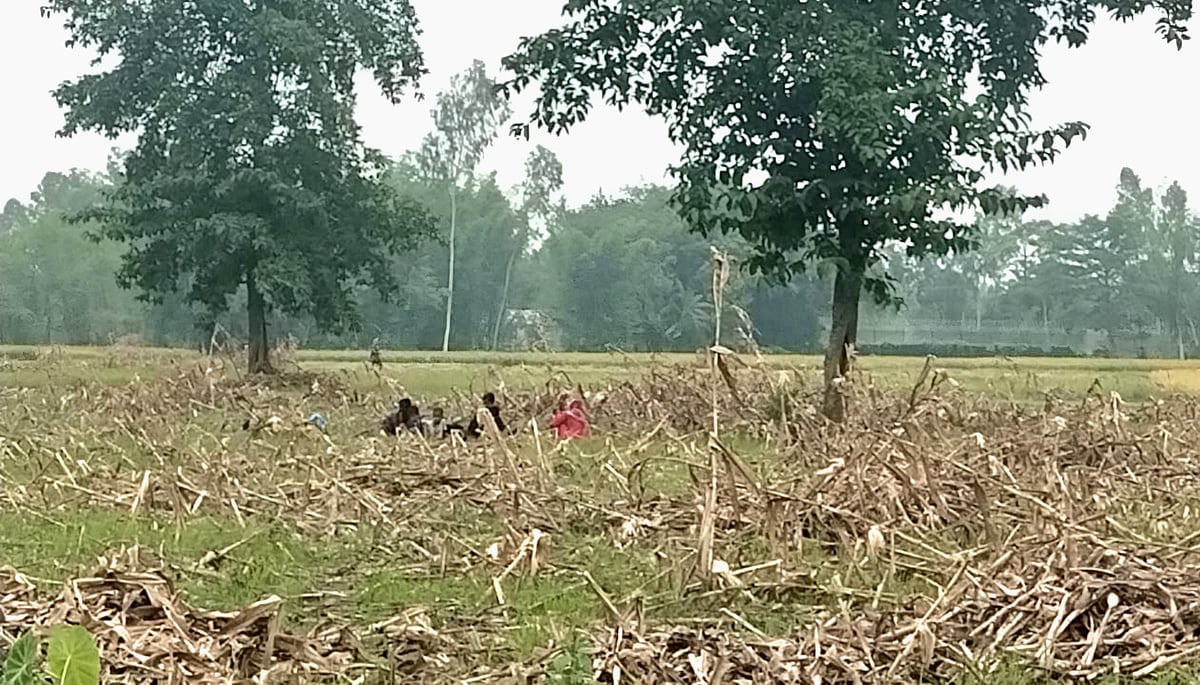 ঠাকুরগাঁও সীমান্তে ১১ জনকে বাংলাদেশে ঠেলে পাঠানোর চেষ্টা, বিজিবির বাধা