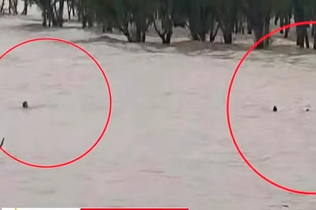 গুলিয়াখালী সৈকতে কেন বারবার দুর্ঘটনা ঘটছে