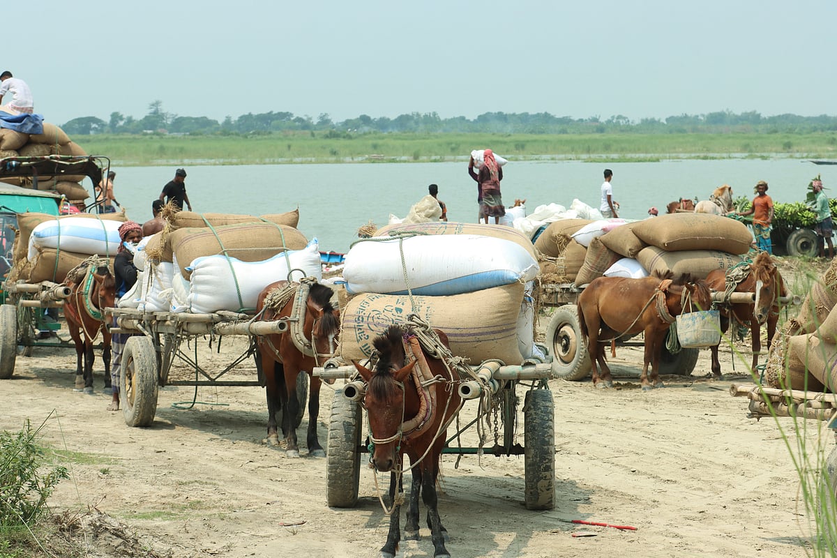 ফরিদপুরের চরাঞ্চলের মানুষের জীবনযুদ্ধ