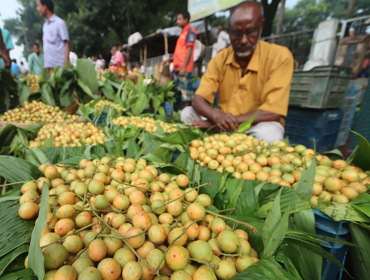একঝলক (৯ জুন ২০২৬)