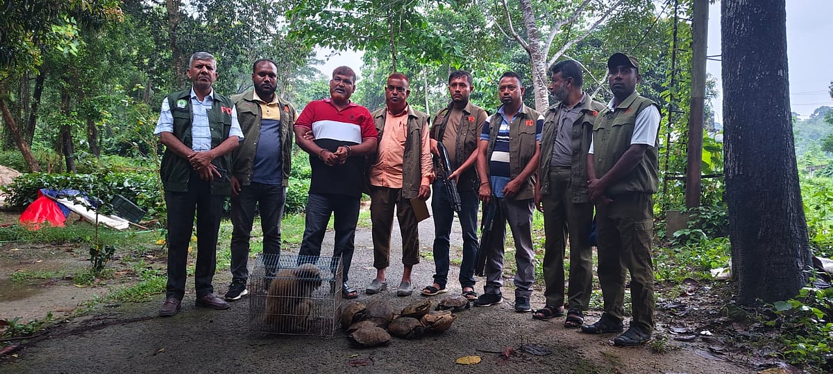 পাচারের জন্য রাখা ১টি মুখপোড়া হনুমান ও ১২টি কচ্ছপ উদ্ধার