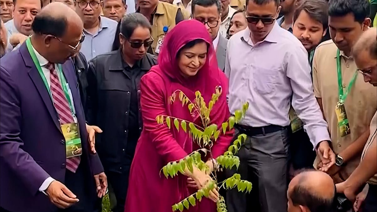 নিমগাছের চারা রোপণ করলেন জুবাইদা রহমান