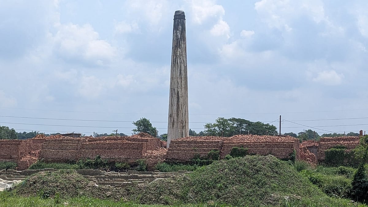 মধুগ্রাম: ইটভাটা, বর্জ্য আর হারিয়ে যাওয়া সবুজ