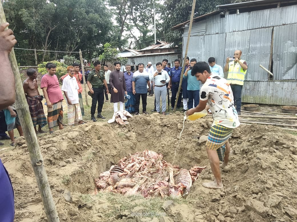 গাইবান্ধায় ঘোড়া জবাই করে মাংস বিক্রির চেষ্টা, ছয়জনের কারাদণ্ড