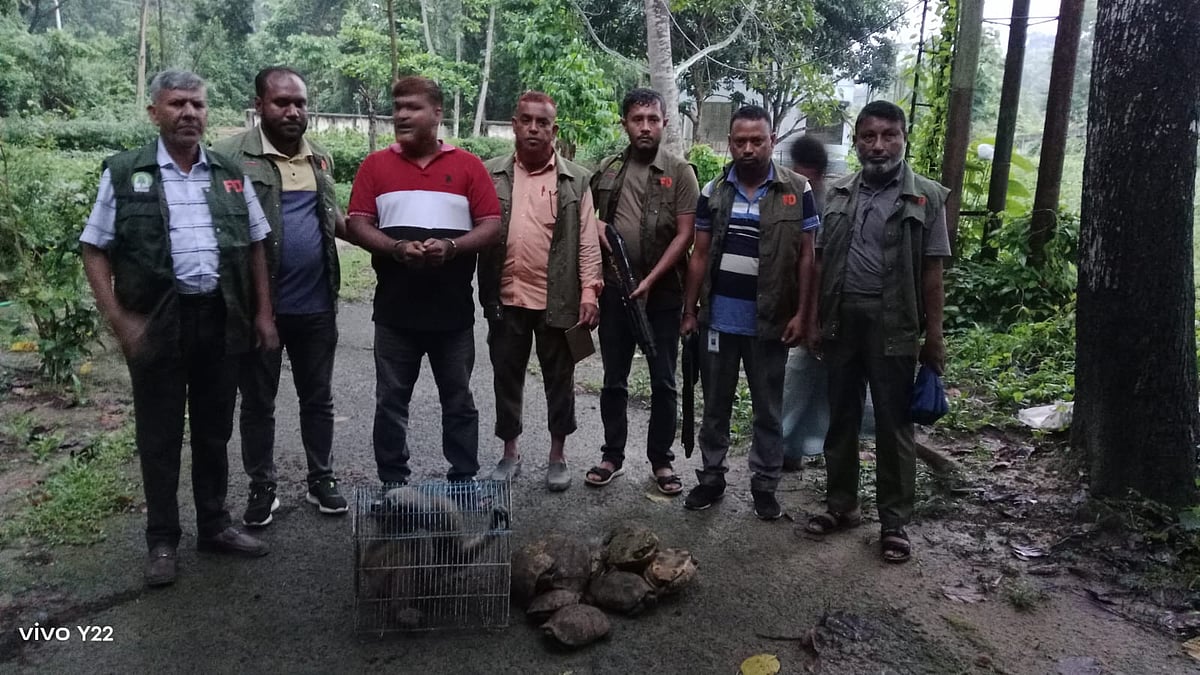 কাঁটাবনের কর্মচারী থেকে বন্যপ্রাণী পাচারের আন্তর্জাতিক চক্রে, ট্রানজিট যেখানে বাংলাদেশ