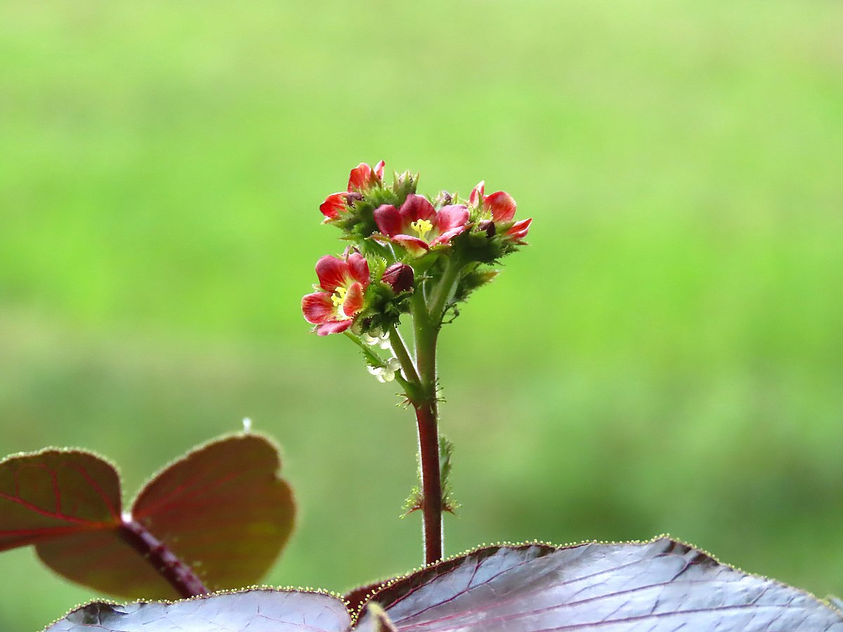 একঝলক (১৪ জুন ২০২৬)