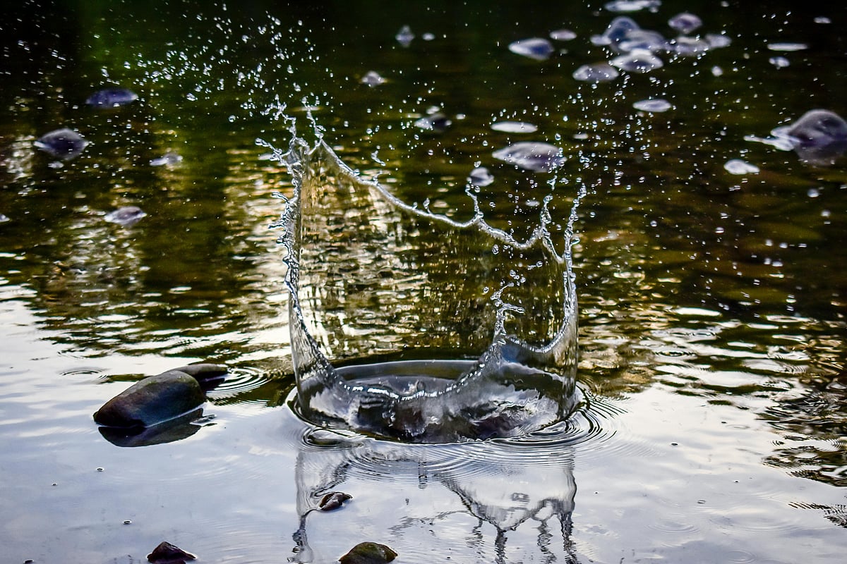 মহানরী (সা.)-এর উপমায় প্রাণ ও প্রকৃতি :  ৪