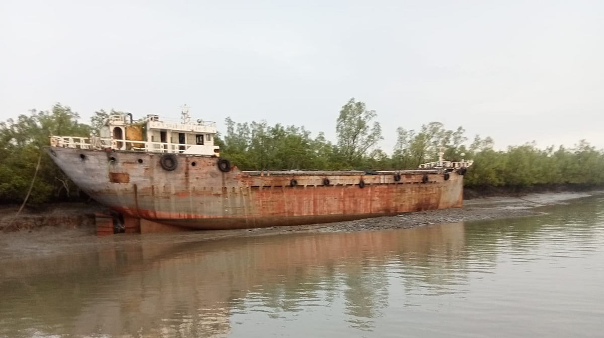 সুন্দরবনের পাশে ডুবে যাওয়ার ঝুঁকিতে ফ্লাই অ্যাশবোঝাই জাহাজ, চরে আটকে রাখা হয়েছে