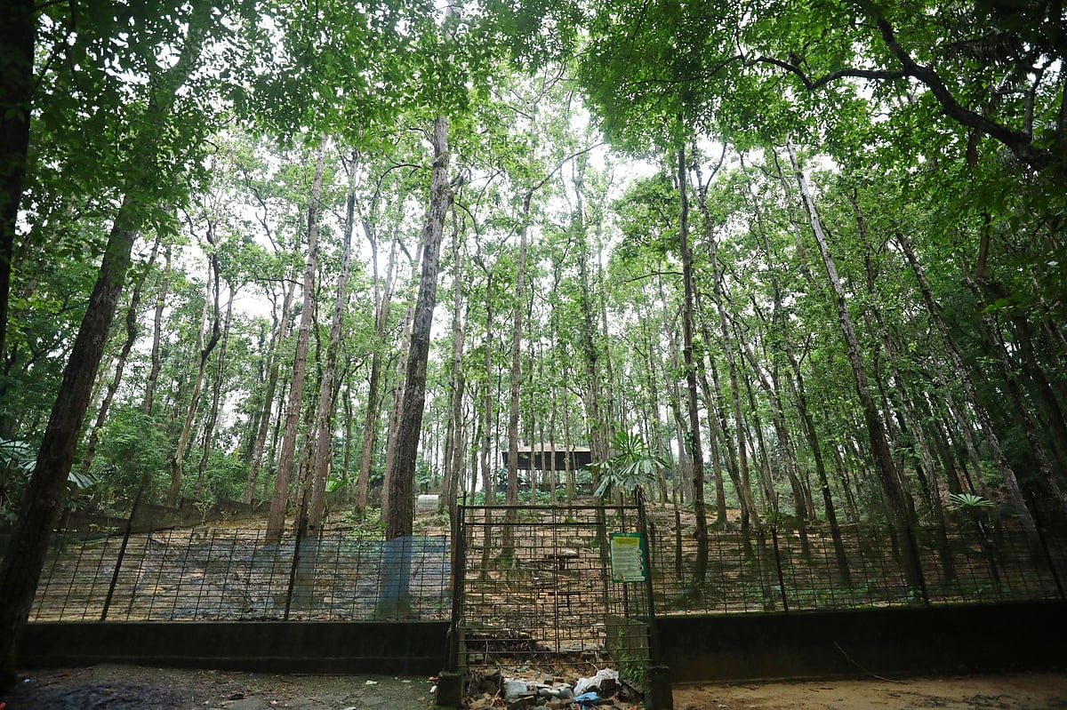 অযত্নে ধুঁকছে চিড়িয়াখানা, কমছে দর্শনার্থী