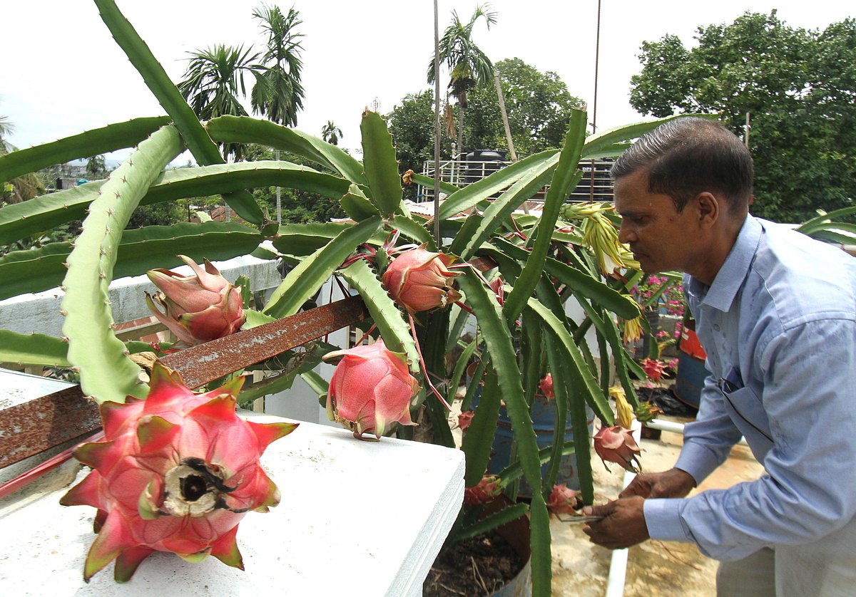 একঝলক (১৬ জুন ২০২৬)