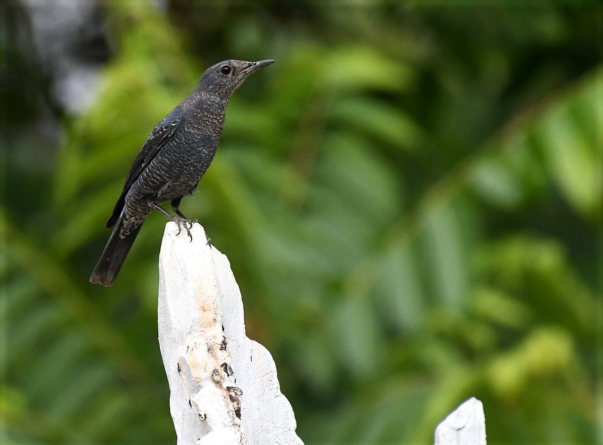 একঝলক (১৭ জুন ২০২৬)
