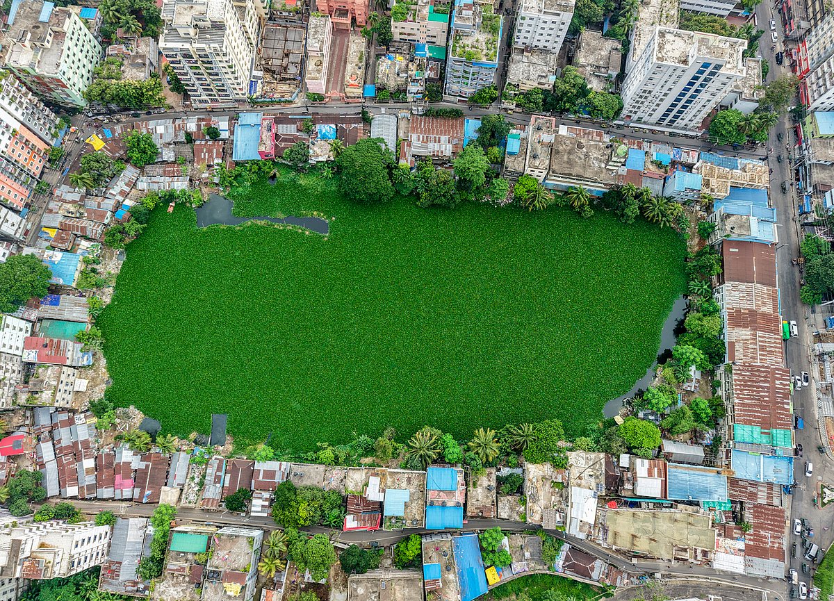 দখল ও দূষণের কবলে ঐতিহাসিক আসকার দিঘি