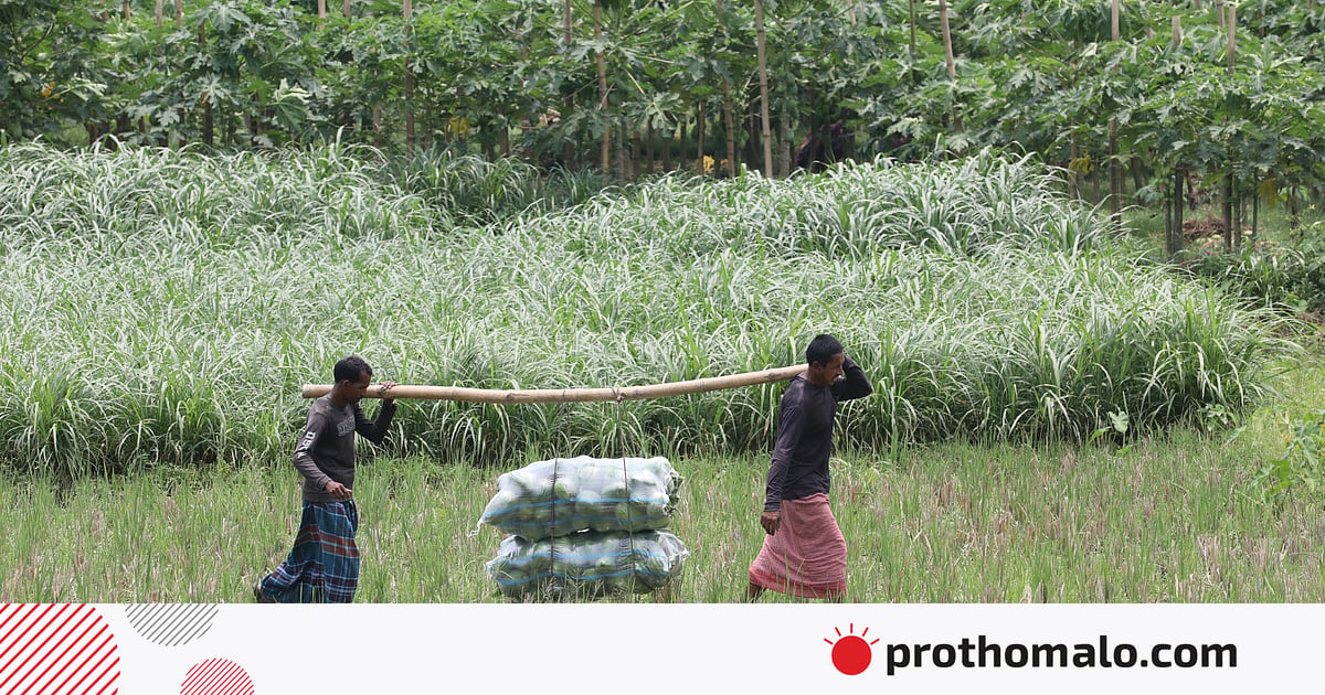 গ্রামগুলোকে মূলধারায় সম্পৃক্ত করতে হবে গ্রামগুলোকে মূলধারায় সম্পৃক্ত করতে হবে