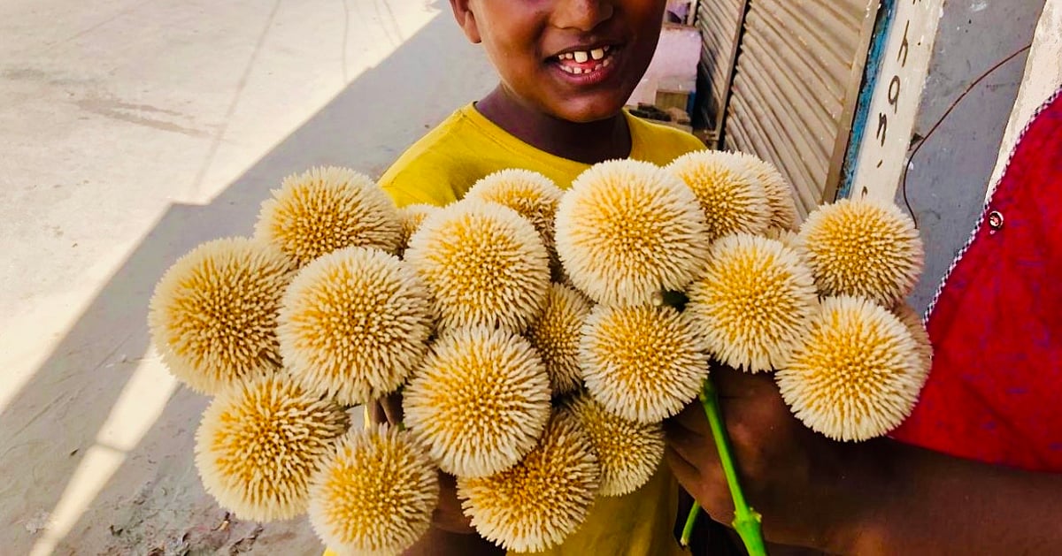 পাঠকের ছবি (২০ জুন ২০২৬) পাঠকের ছবি (২০ জুন ২০২৬)