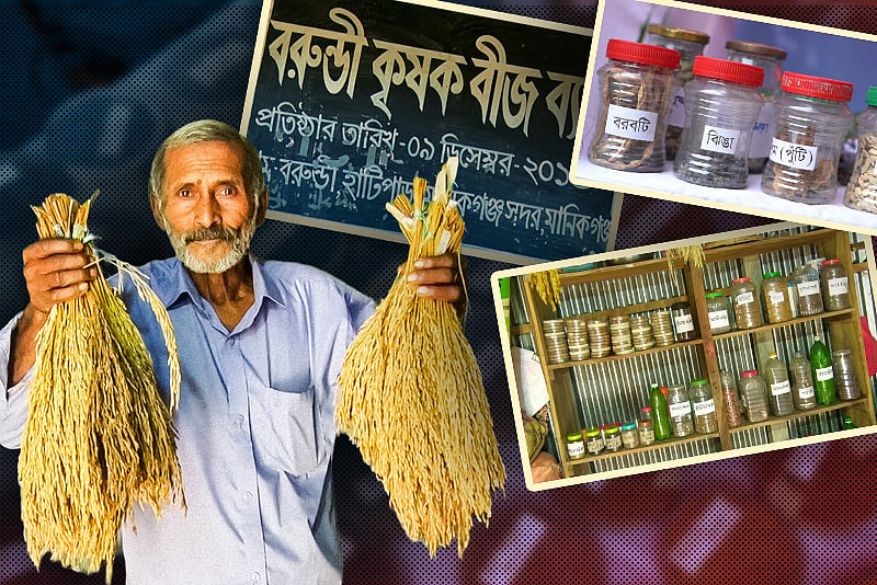 নিভৃত বরুন্ডির কৃষকের হাতে সংরক্ষিত হচ্ছে ফসলের প্রাণ, গড়ে উঠছে বীজ ব্যাংক