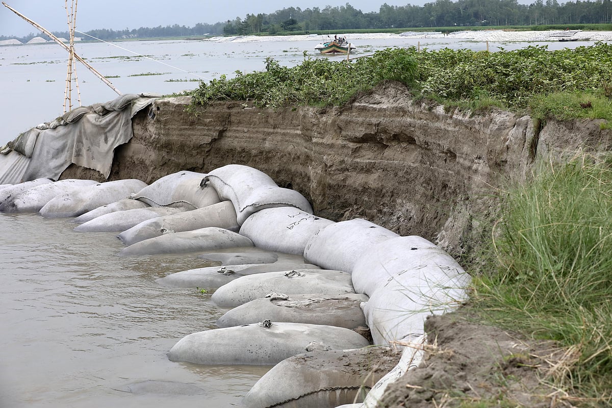 ভাঙনের আতঙ্কে বাঁধের ওপর জীবন