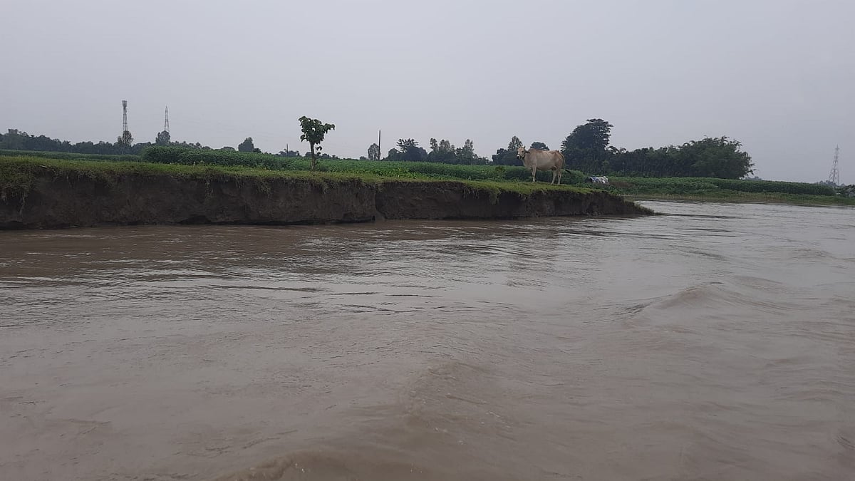 কুড়িগ্রামে নদ-নদীর পানি বাড়ছে, তবে বন্যার আশঙ্কা নেই: পাউবো