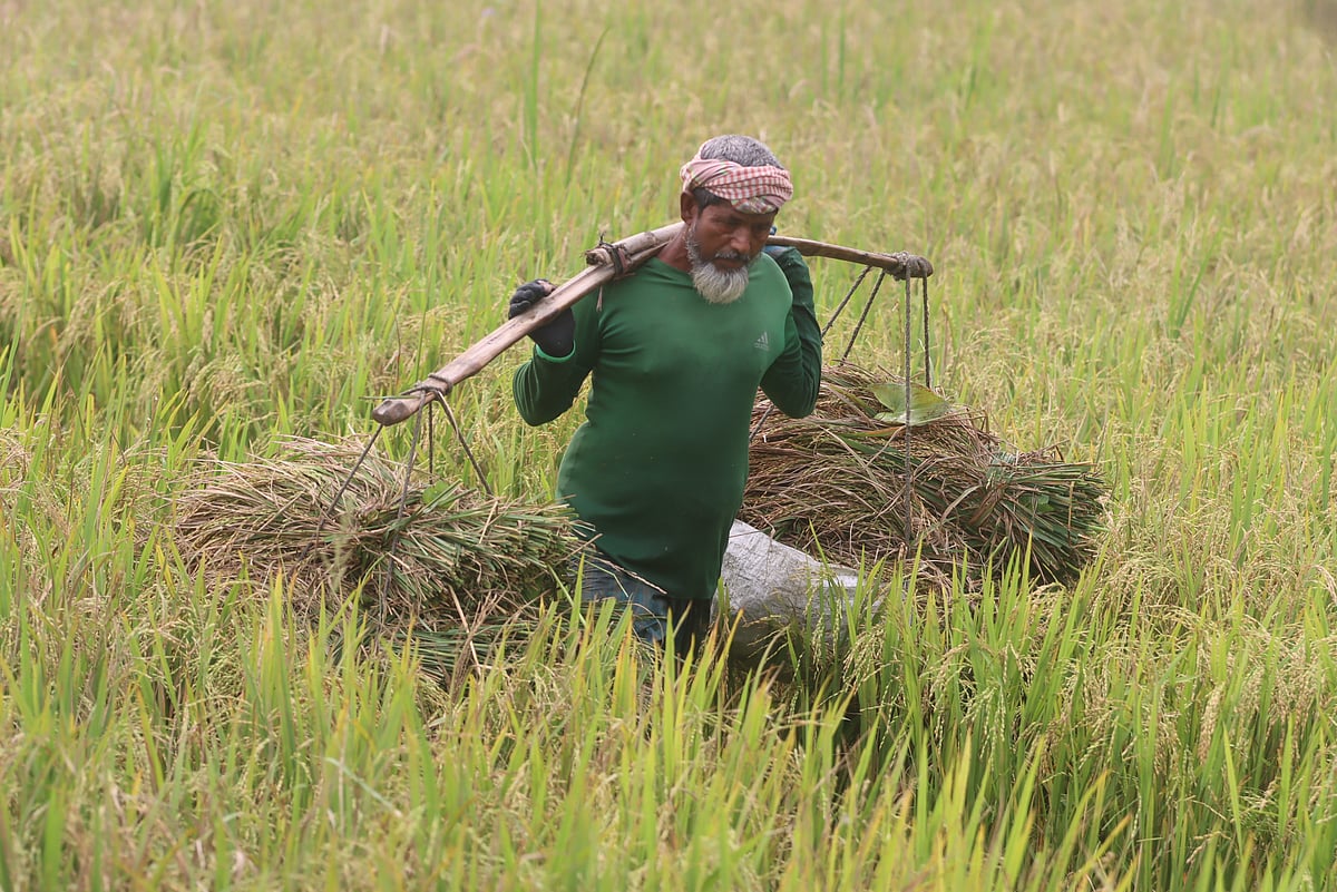 একঝলক (২২ জুন ২০২৬)
