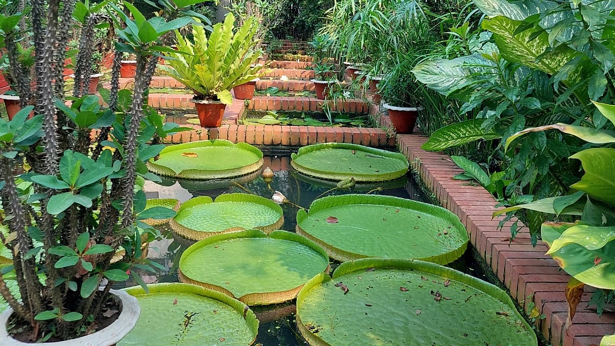 ছবি: লেখকের সৌজন্যে