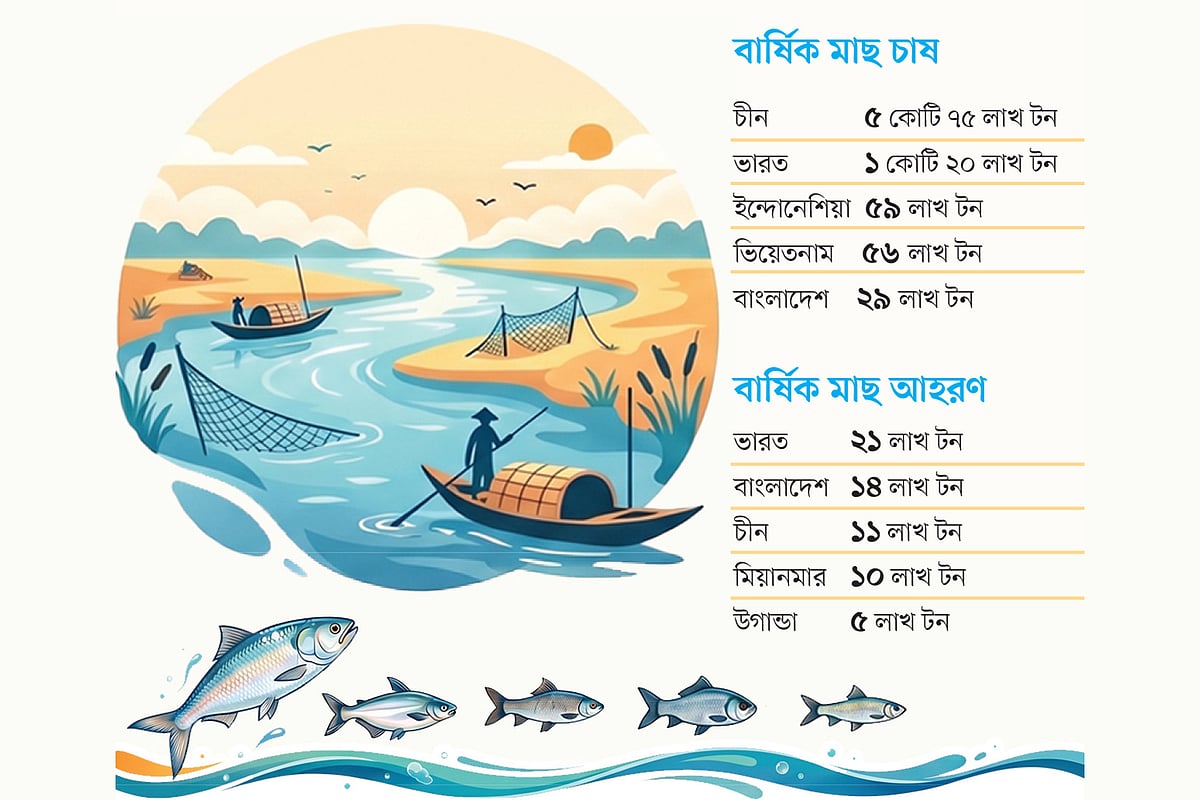 চাষের মাছে বিশ্বসেরা পাঁচে বাংলাদেশ, নদী-হাওরের আহরণে শুধু ভারতের পেছনে