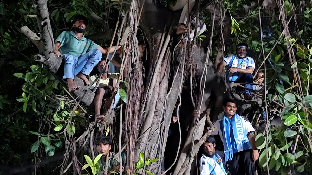 আর্জেন্টিনার ম্যাচ দেখতে মধ্যরাতে গাছে উঠলেন সমর্থকেরা