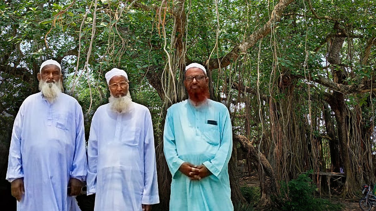 তিনজনের বাধায় বেঁচে গেল ‘৫০০ বছর’ বয়সী বটগাছ