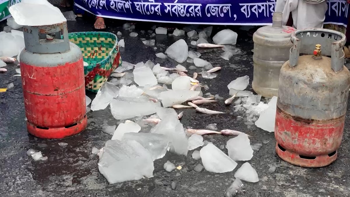 চাঁদাবাজির প্রতিবাদে সড়কে মাছ-বরফ-সিলিন্ডার, বিক্ষোভে জেলেরা