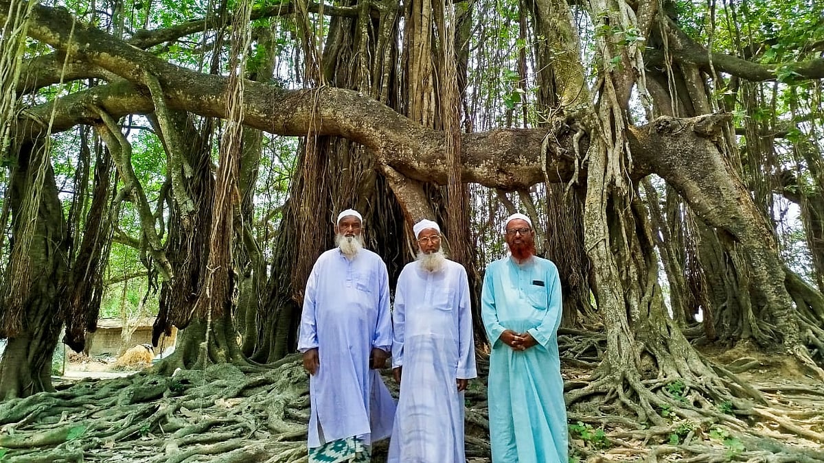 ছবি: প্রথম আলো