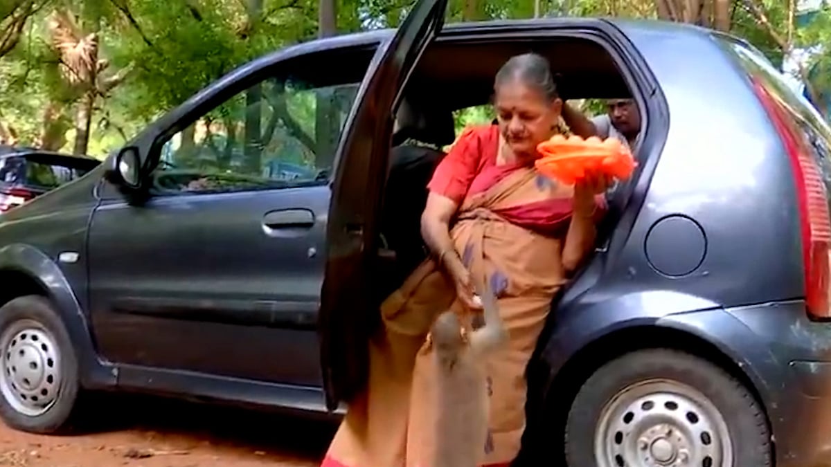 পেনশনের টাকায় ১০ বছর ধরে বানরদের খাওয়াচ্ছেন ৭৬ বছরের মালাথি
