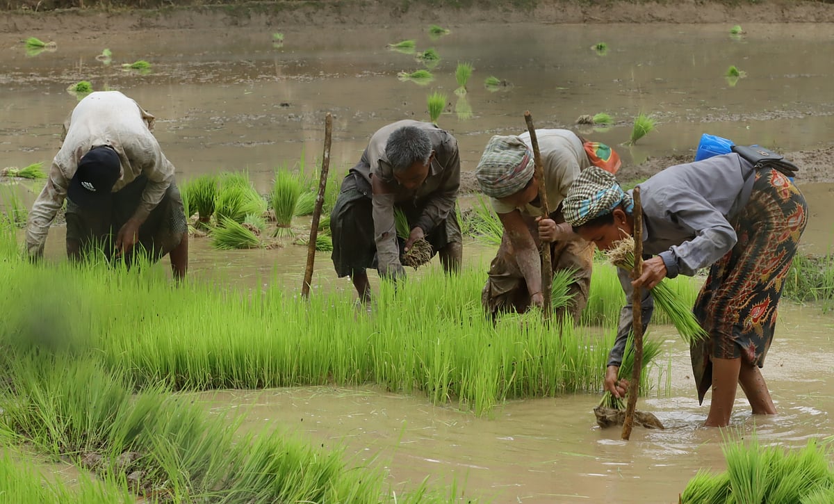 একঝলক (২৫ জুন ২০২৬)