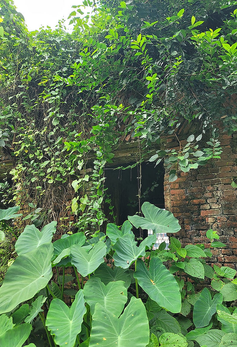 বাংলাদেশের ঐশ্বর্য সন্ধান ৩০: রোয়াইলের পথে, হারিয়ে যাওয়া জমিদারির গল্প