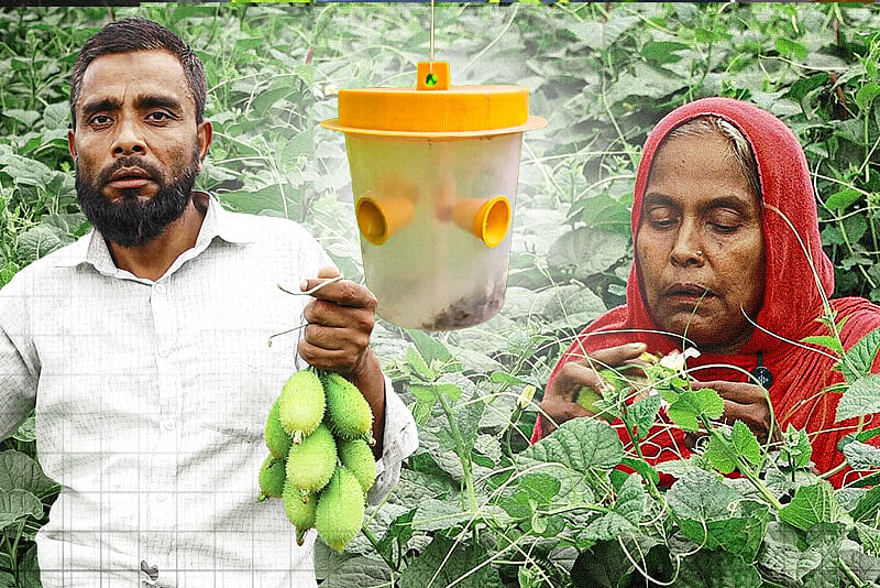 যে গ্রাম হয়ে উঠেছে বিষমুক্ত নিরাপদ কৃষির মডেল