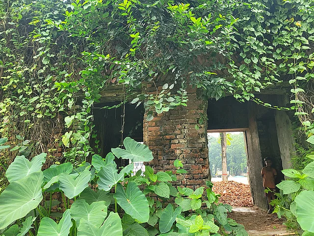 ছাদবিহীন দেয়াল
