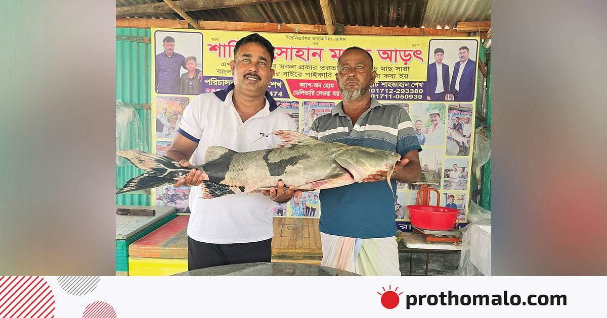 পদ্মা-যমুনার মোহনায় জেলের জালে ২০ কেজির মহাবিপন্ন বাগাড়, ৩৮ হাজারে বিক্রি পদ্মা-যমুনার মোহনায় জেলের জালে ২০ কেজির মহাবিপন্ন বাগাড়, ৩৮ হাজারে বিক্রি