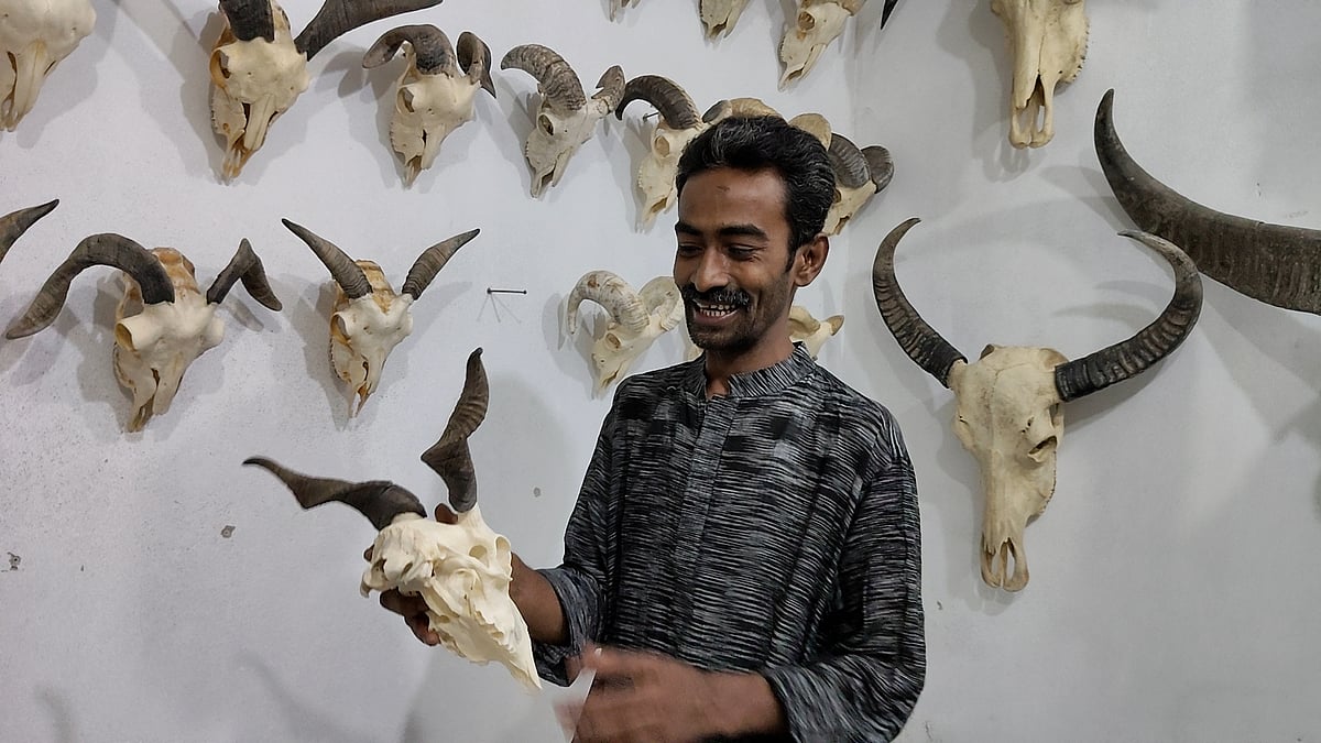 ফেলে দেওয়া হাড়-শিংয়ে চমৎকার শোপিস, কসাই রিপনের নজরকাড়া শিল্পকর্ম