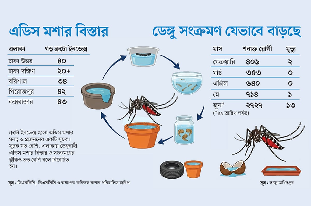 এডিসের লার্ভা ঢাকায় উচ্চ মাত্রায়, বাইরে আরও বেশি, কোন বিভাগে ঝুঁকিতে