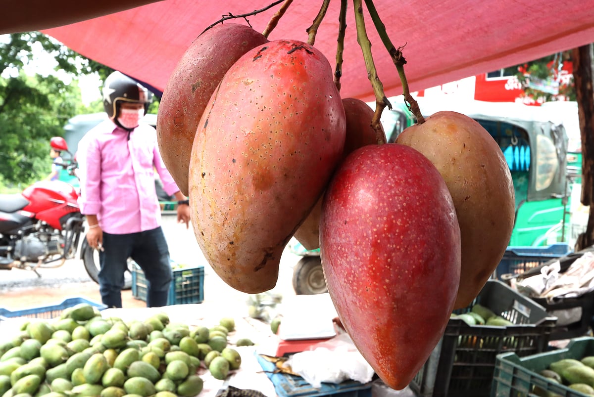 ছবি: সুপ্রিয় চাকমা