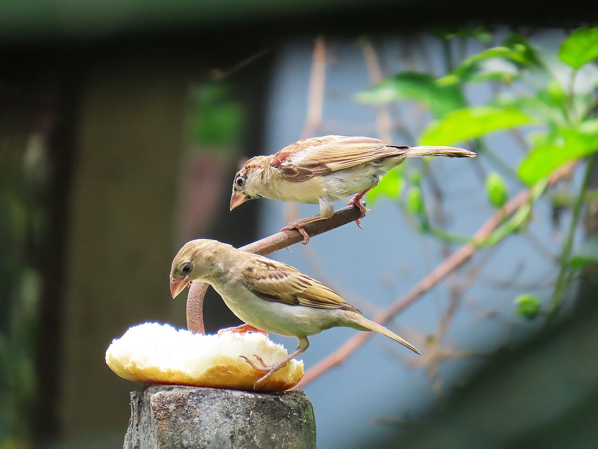 একঝলক (১ জুলাই ২০২৬)