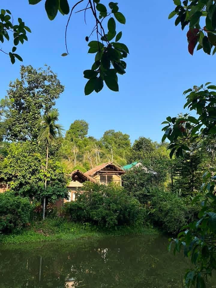 শ্রীমঙ্গলের এই রিসোর্টে কোনো টিভি নেই কেন