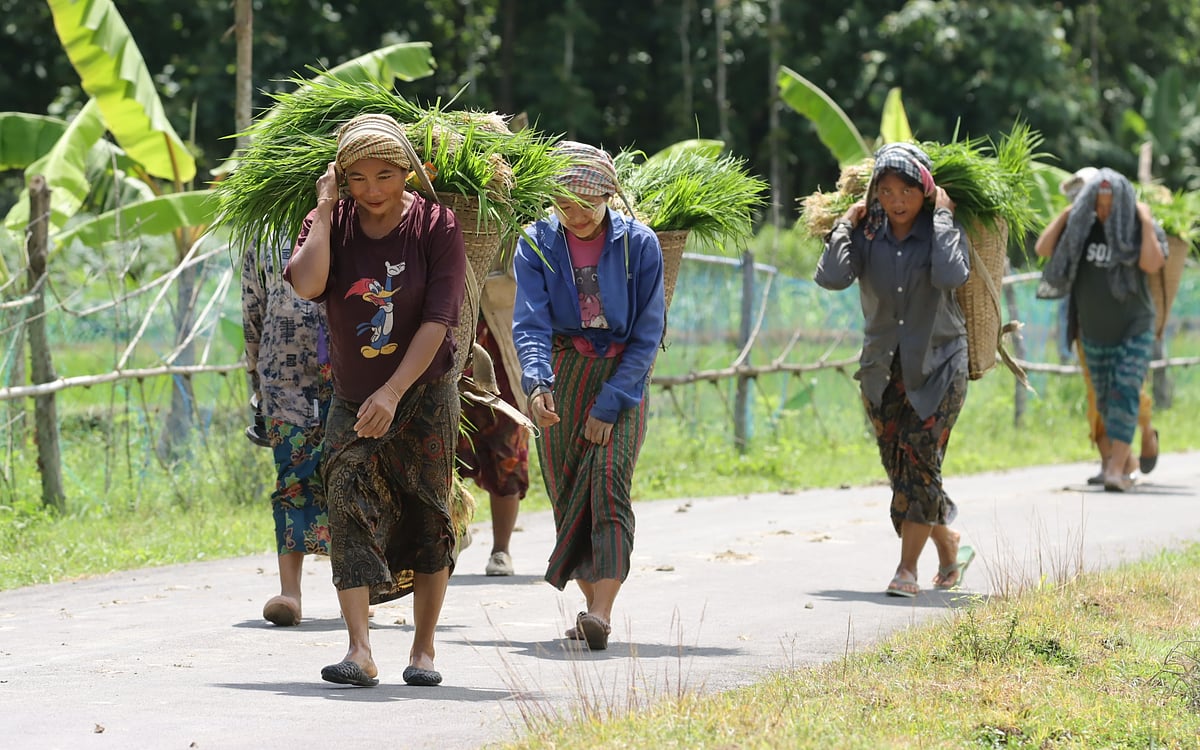 ছবি: মং হাই সিং মারমা 