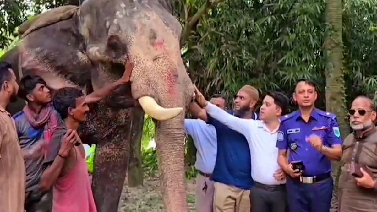 প্রধানমন্ত্রীর নির্দেশে ‘বাদশাহ বাহাদুর’ যাচ্ছে জাতীয় চিড়িয়াখানায়