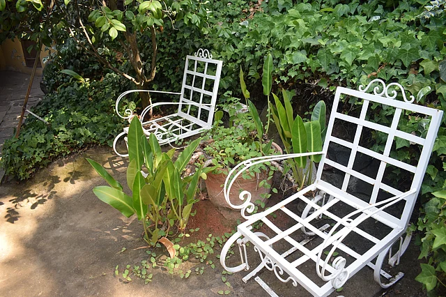নেরুদার বাড়ির বাগান