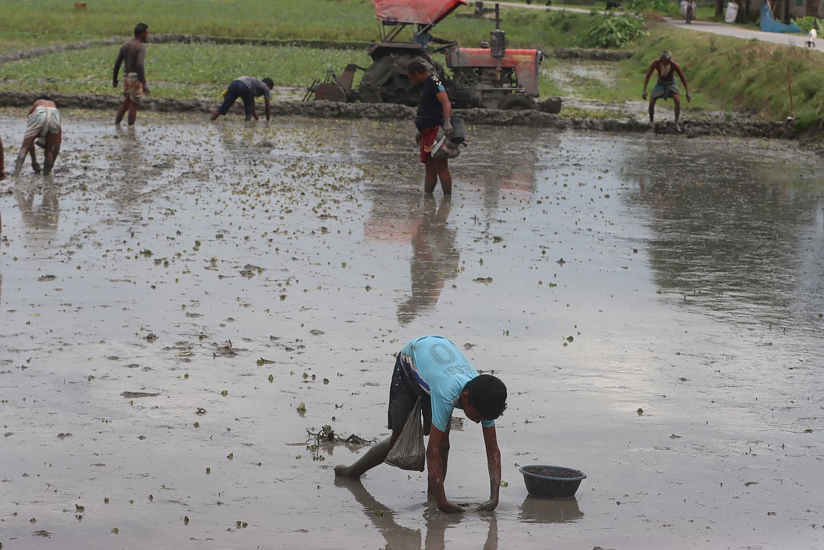 একঝলক (৫ জুলাই ২০২৬)
