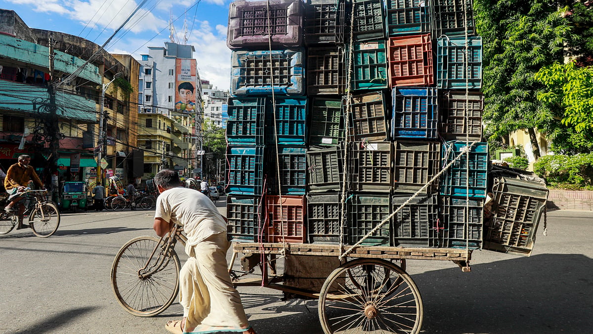ক্রেট সংগ্রহ করে তা ভ্যানে করে নেওয়া হচ্ছে। 