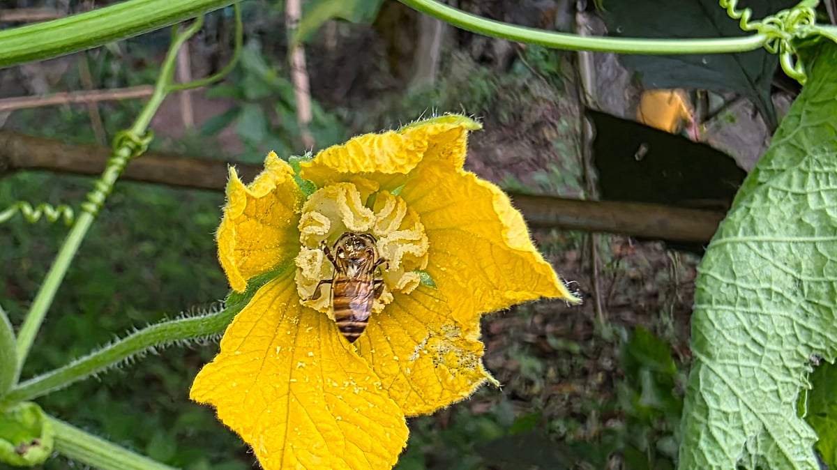  ছবি: আব্দুল মোমিন