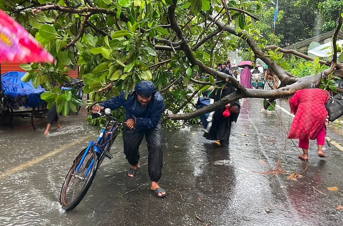 ঝোড়ো হাওয়া ও ভারী বৃষ্টির মধ্যে সড়কের ওপর উপড়ে পড়ে একটি গাছ, এতে বন্ধ হয়ে যায় যান চলাচল।
